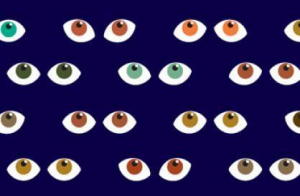 mon 1er festival toussaint Paris