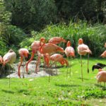 Jardin des Plantes Paris