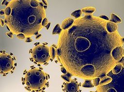coronavirus